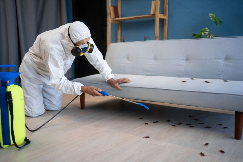 Bedbug Furniture Removal