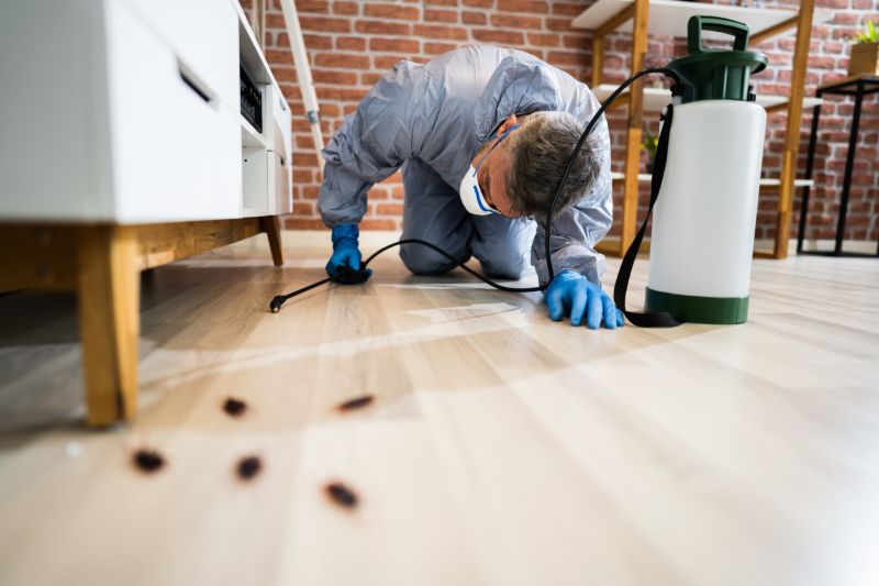 Why Professional Bed Bug Pest Control Is More Effective Than Diy Treatments